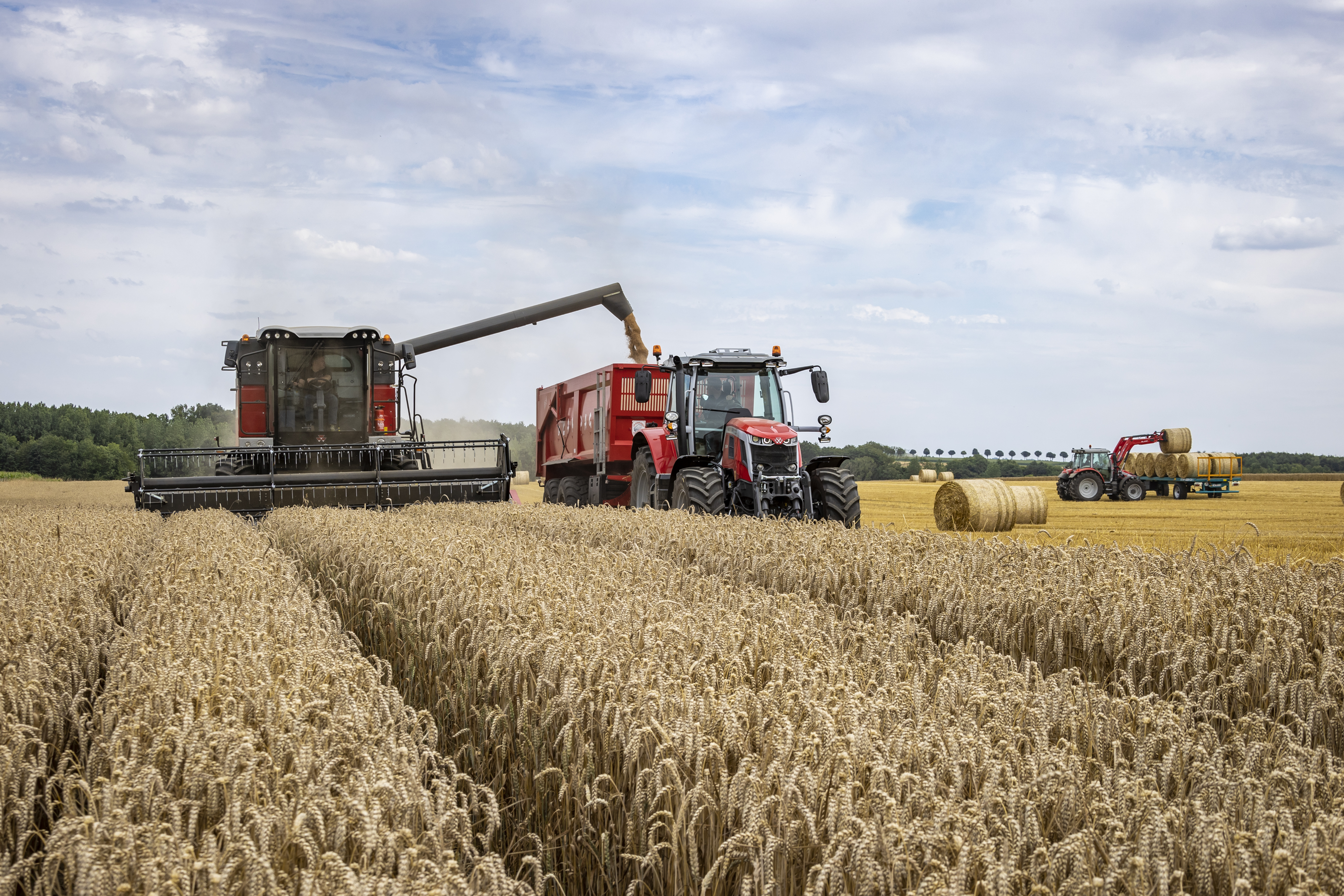 Lease with no services